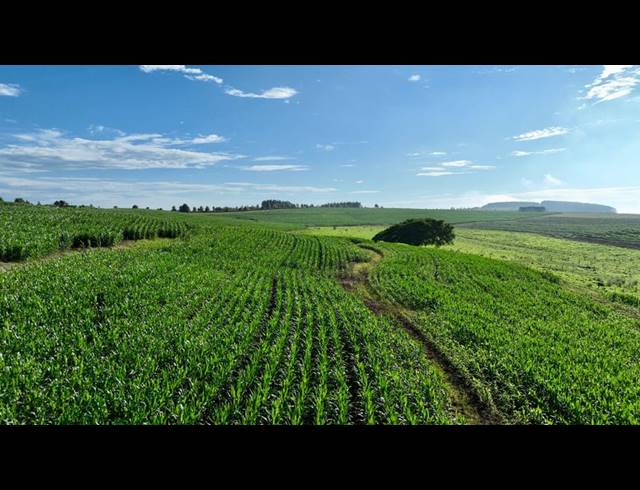 LAND FOR SALE IN MOUNT VERDE